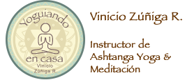 Yoguiando en Casa, Vinicio Zúñiga, profesor certificado de Ashtanga Yoga, clases de yoga y meditación particulares, privadas y para empresas